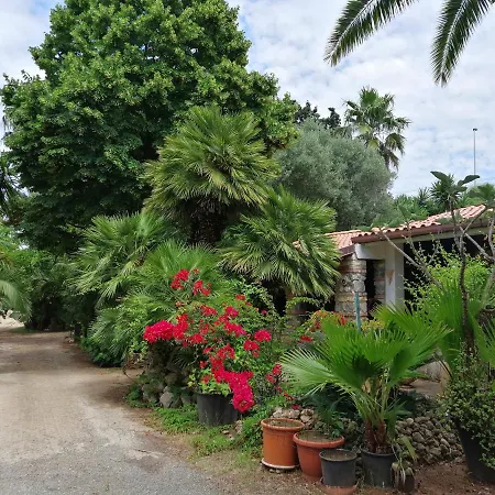 Loco Capo Vaticano